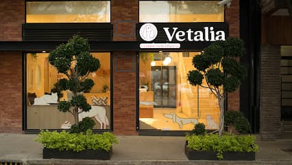 Vetalia Condesa