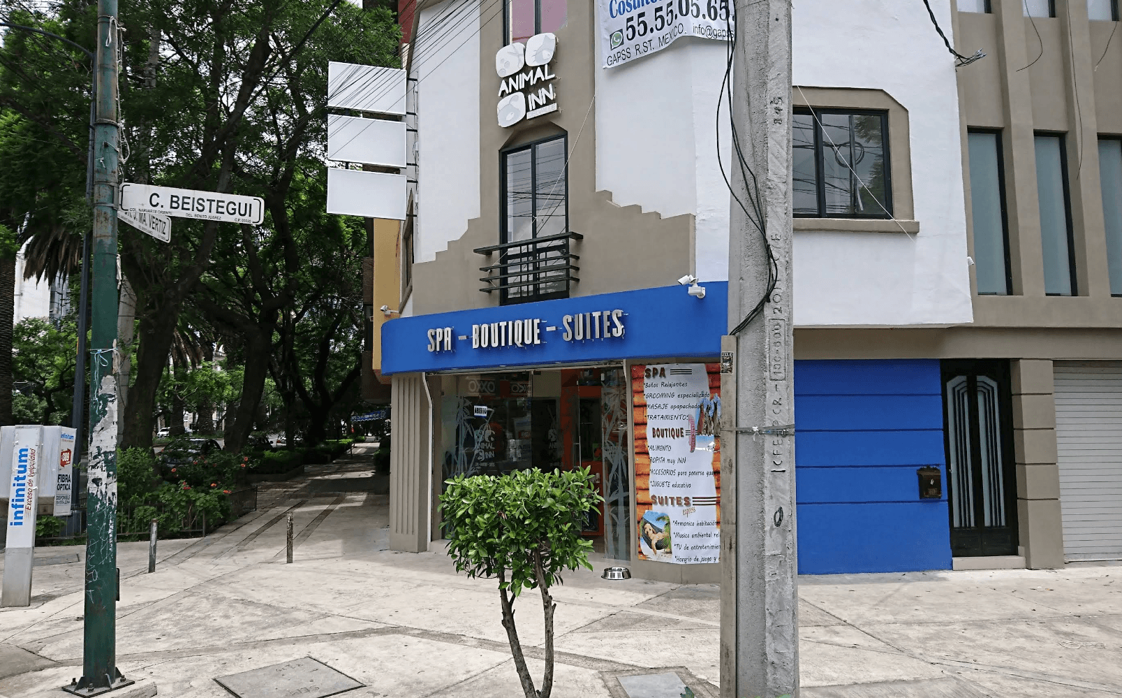 Animal Inn Narvarte