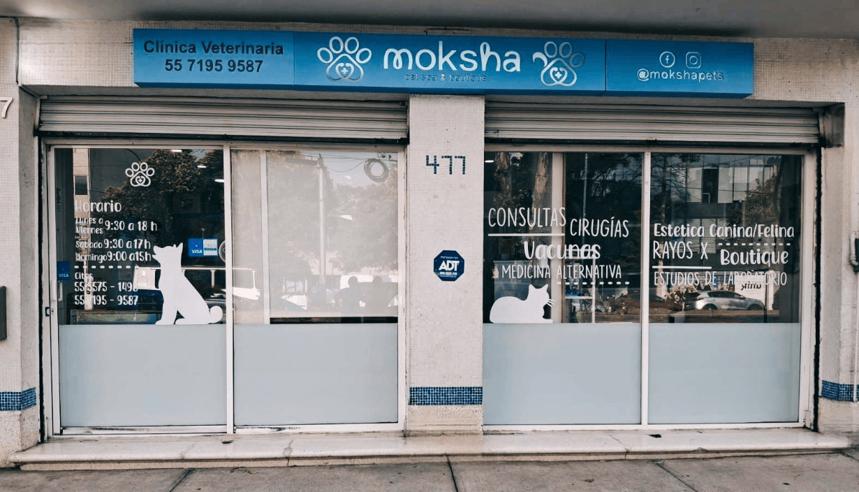 moksha Narvarte Poniente