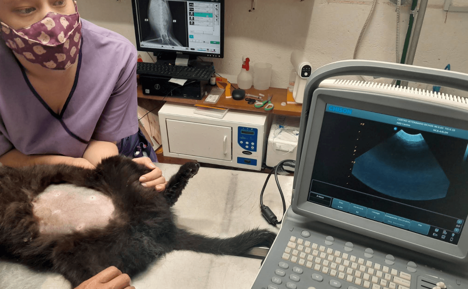 CaT DoGmania 24 hrs Hospital 