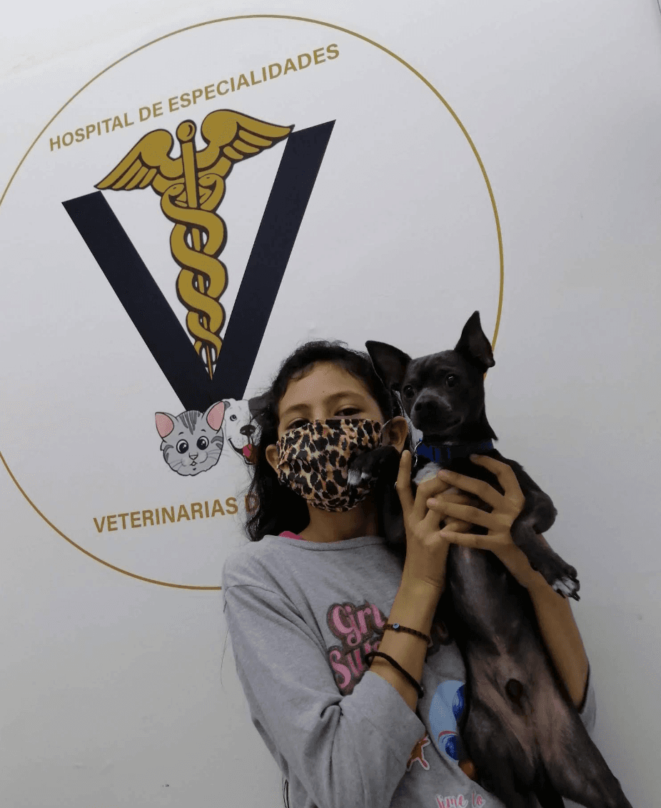 Hospital de Especialidades Veterinarias Vertíz Narvarte