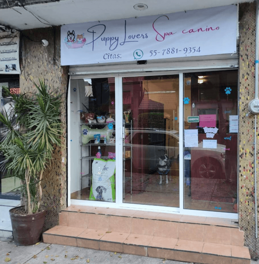 Puppy Lovers Narvarte Oriente