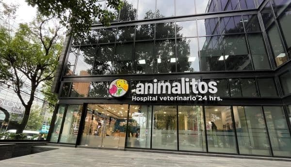 Animalitos Hospital Veterinario 24 horas Polanco