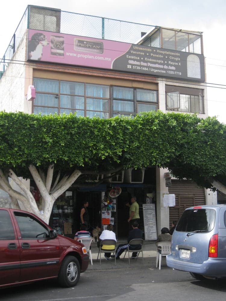 Clínica Veterinaria San Francisco de Asís