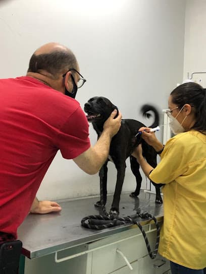 Healthy Pet Veterinaria Polanco 