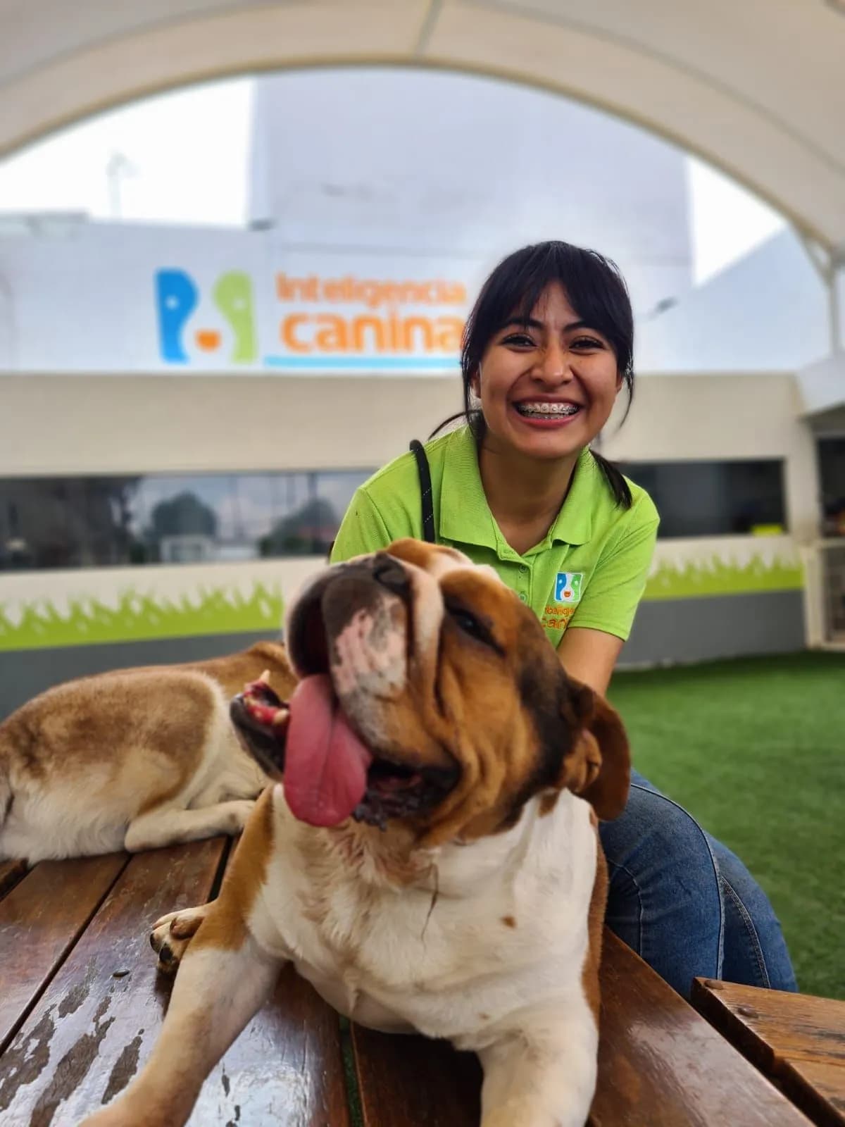 Inteligencia Canina