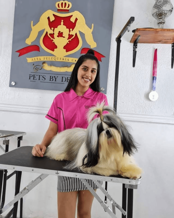 Pets By Design Roma Norte