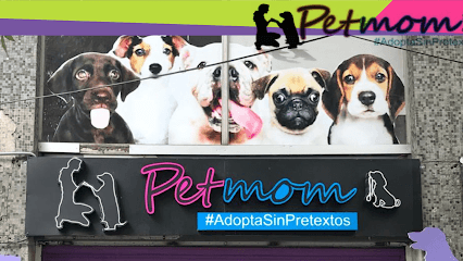 Petmom Roma Norte