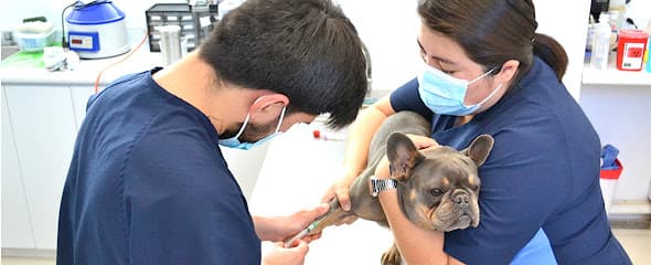 Hospital Veterinario WestCare Polanco
