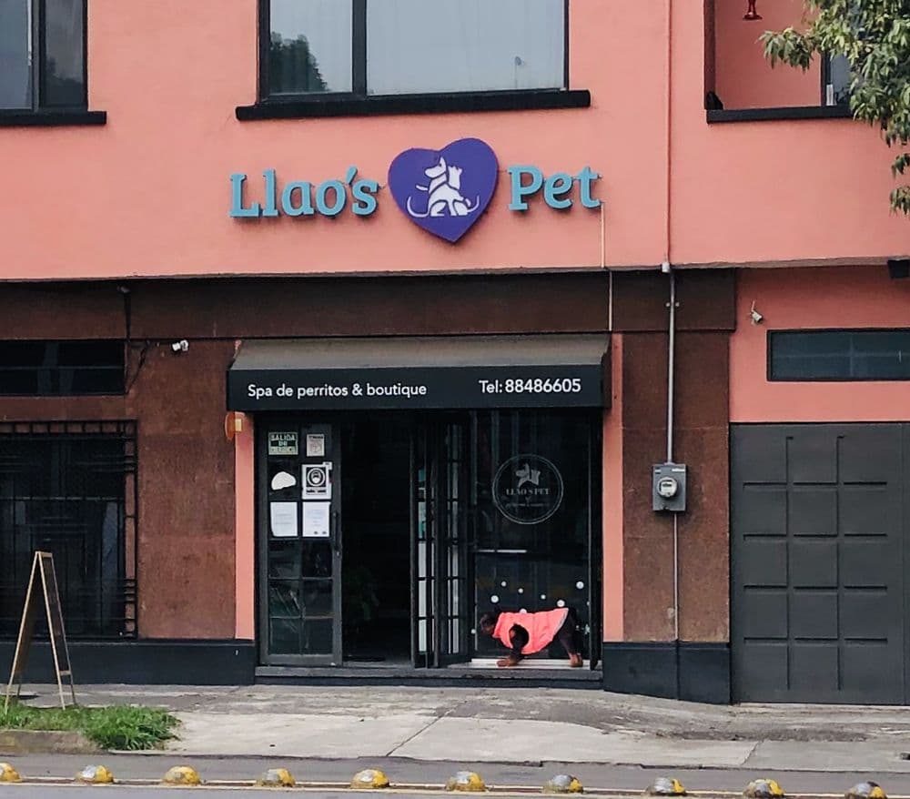 Llao's Pet Condesa